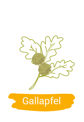 Merino Nature Produktbanner Gallapfel