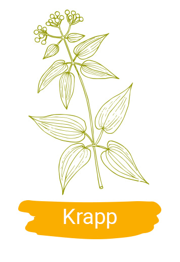 Merino Nature Produktbanner Krapp