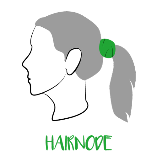 Pachama-Hairnode.jpg