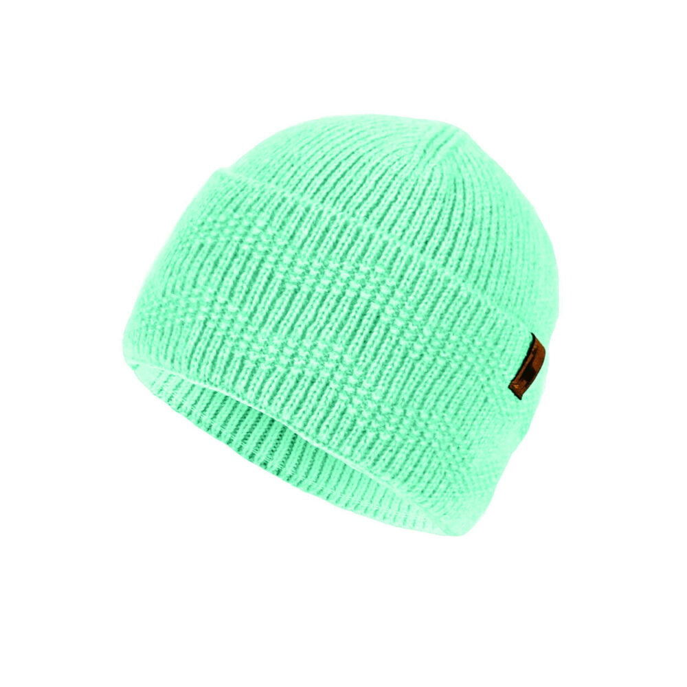 PAC Dalera Beanie - Mint